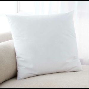 Pillow Insert